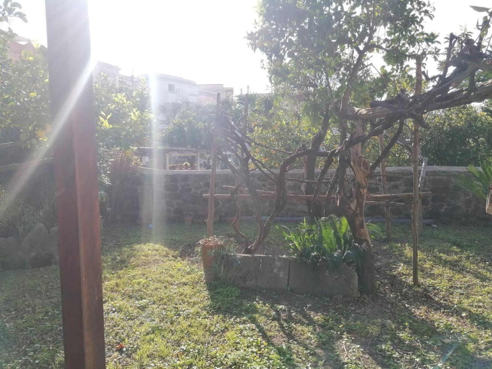住宿加早餐酒店 Dimora Coloniale Forio di Ischia